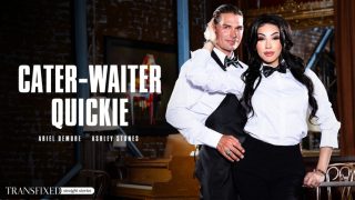Trans Fixed – Cater-waiter Quickie